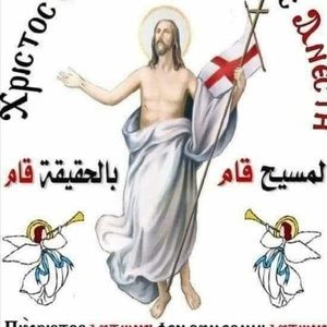 Meet your Posher, Adel